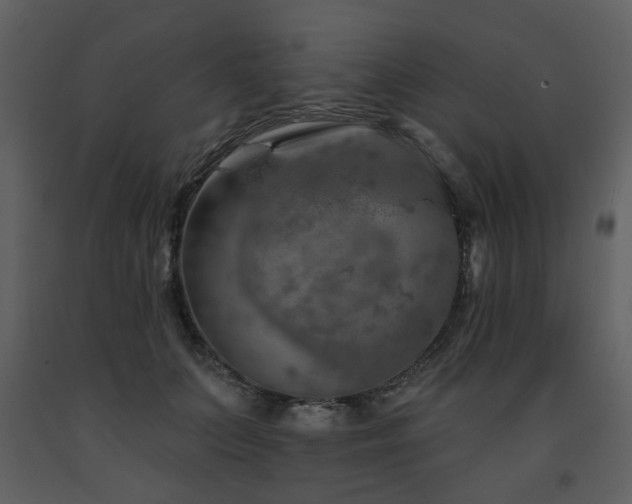X0000091720703200708241349