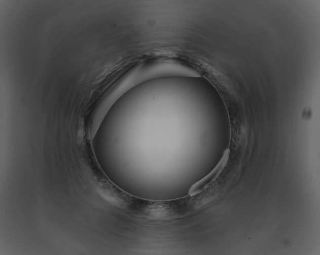 X0000091720704200708241349