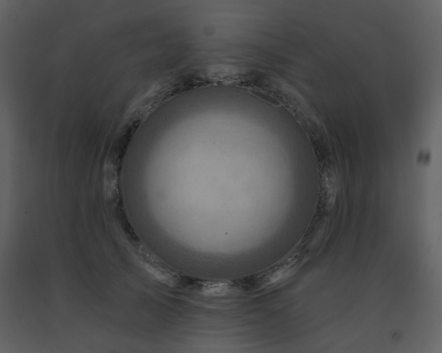 X0000091720705200708241349
