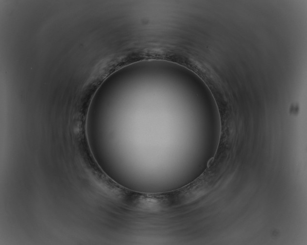 X0000091720706200708241349