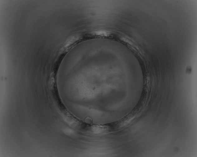 X0000091720707200708241349