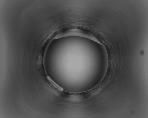 X0000091720708200708241349