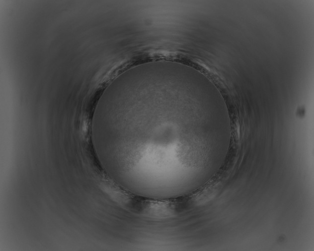 X0000091720709200708241349