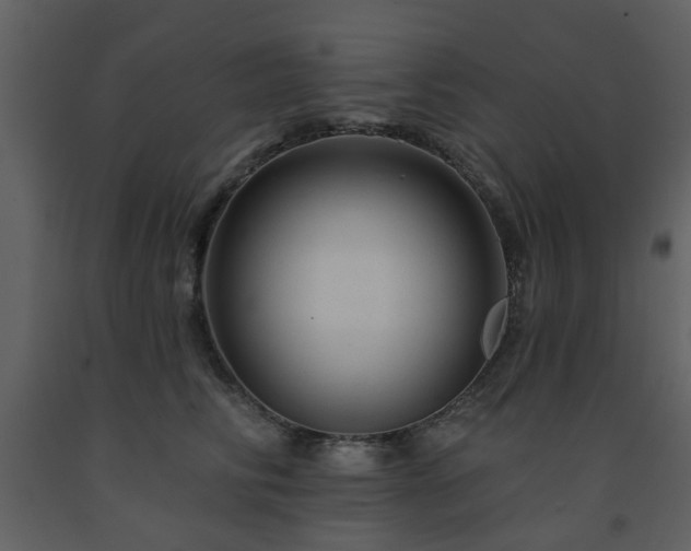 X0000091720710200708241349