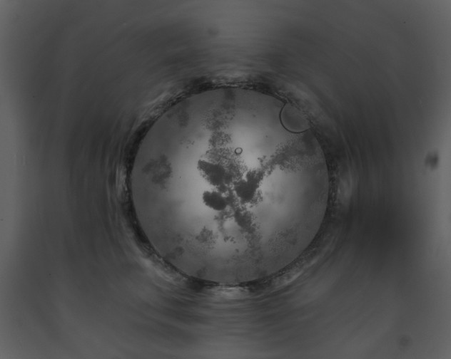 X0000091720711200708241349