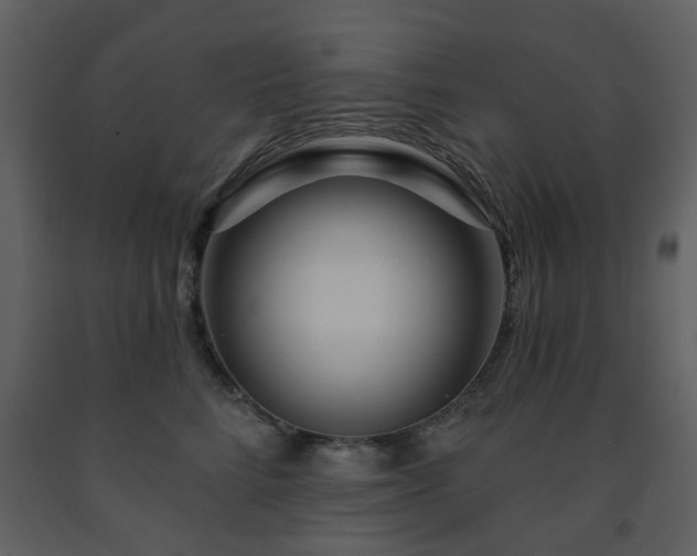 X0000091720712200708241349