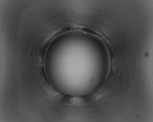 X0000091720714200708241349