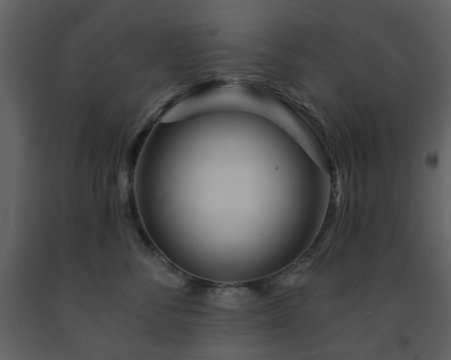 X0000091720716200708241349