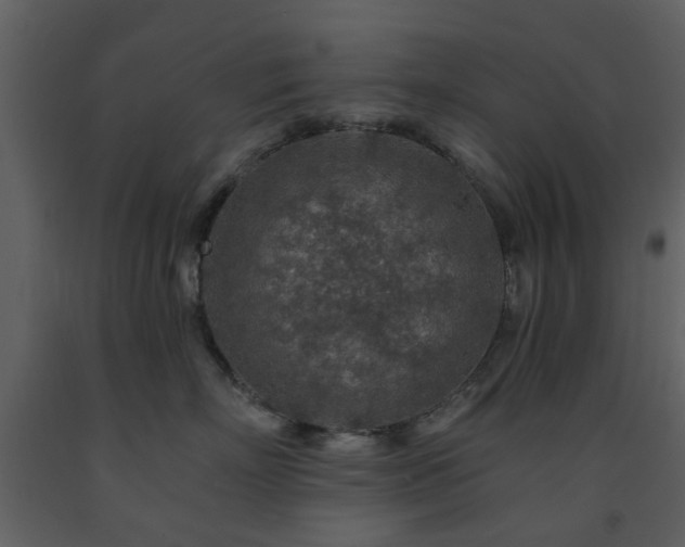 X0000091720718200708241349