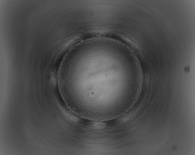 X0000091720719200708241349