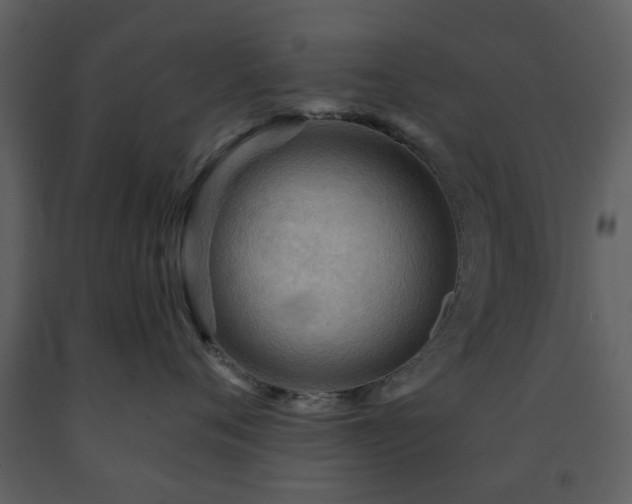 X0000091720720200708241349