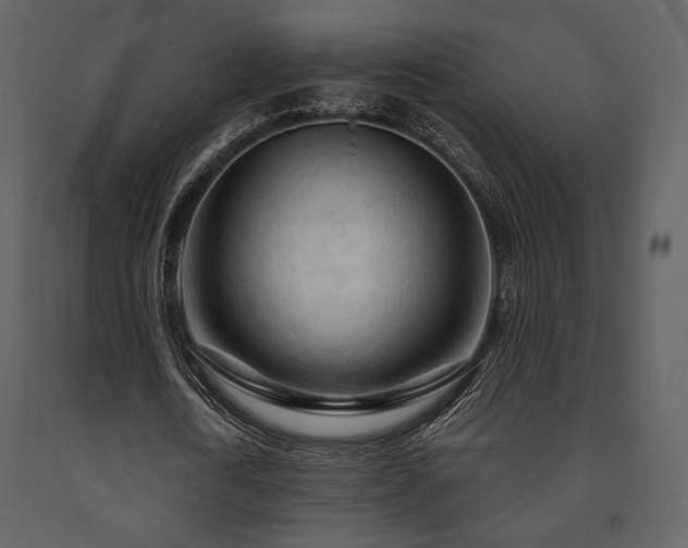 X0000091720722200708241348
