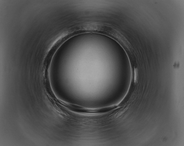 X0000091720723200708241348