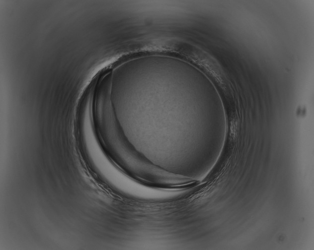 X0000091720724200708241348
