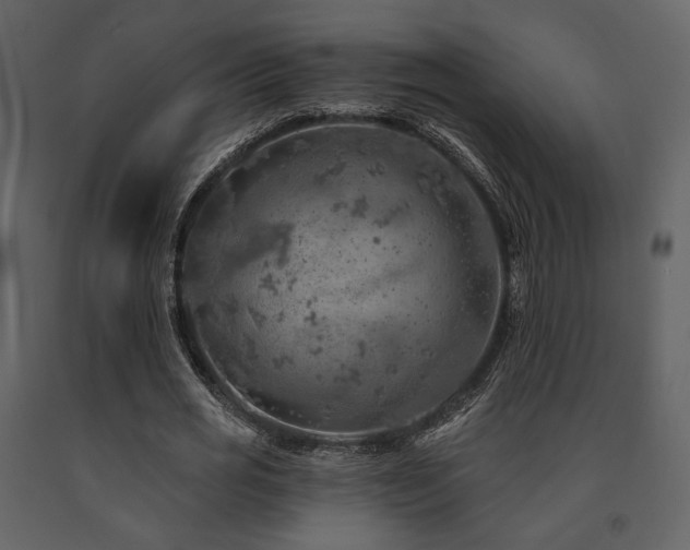 X0000091720725200708241348