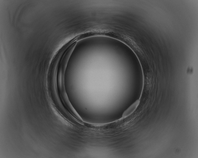 X0000091720726200708241348