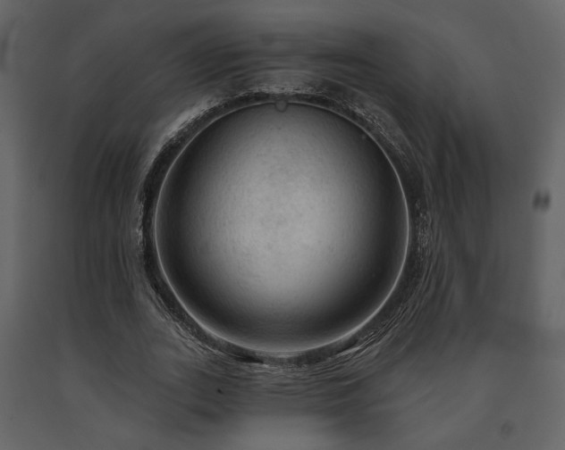 X0000091720727200708241348