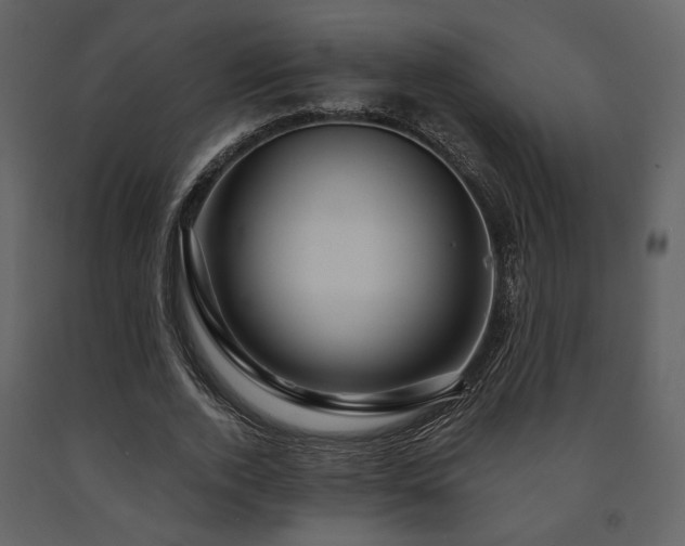 X0000091720728200708241348