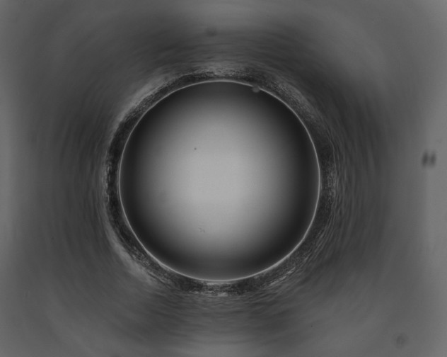 X0000091720730200708241348
