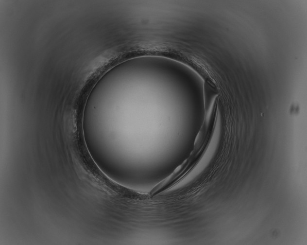 X0000091720731200708241348