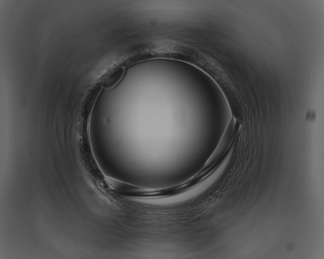 X0000091720732200708241348