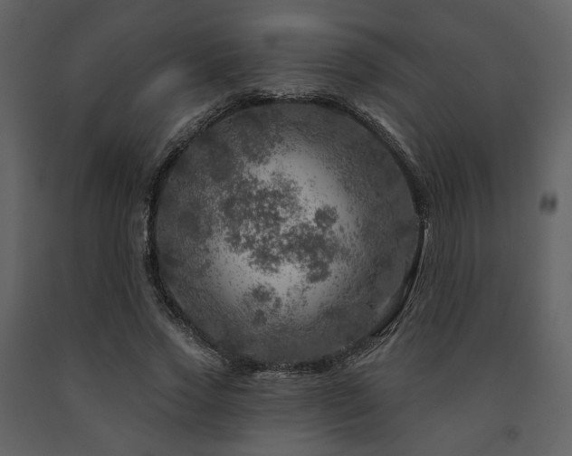 X0000091720733200708241348