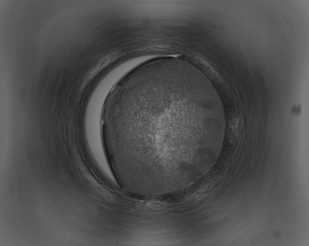 X0000091720734200708241348