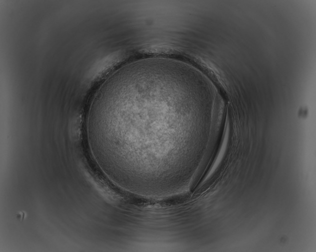 X0000091720735200708241348