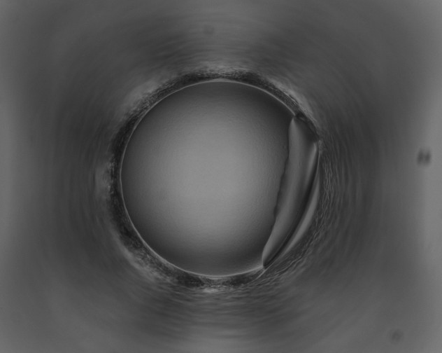 X0000091720736200708241348