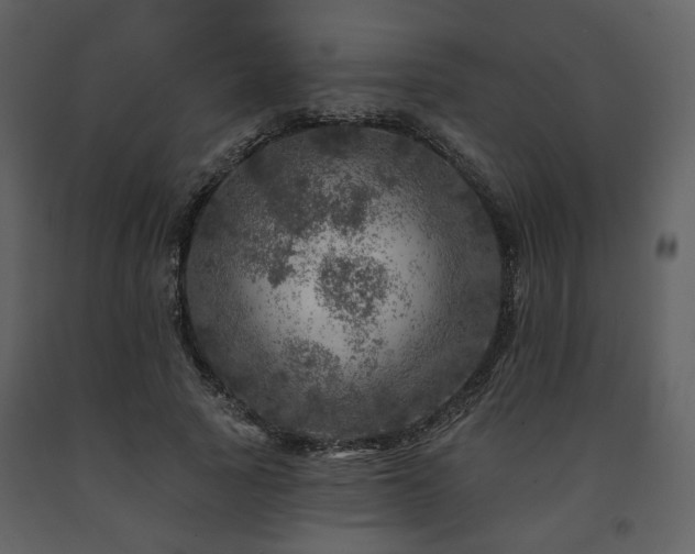 X0000091720737200708241348