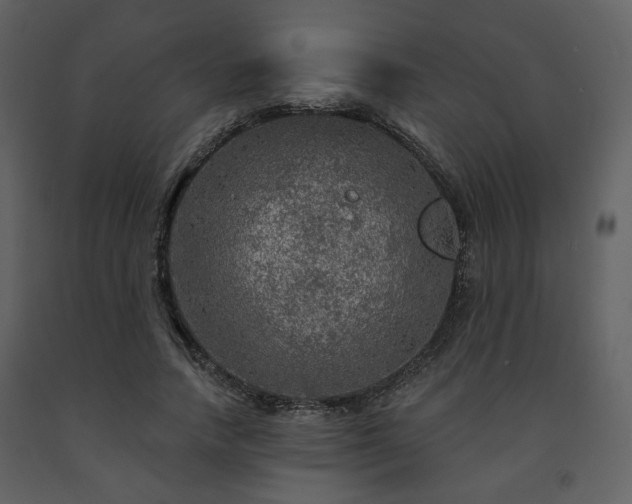 X0000091720738200708241348