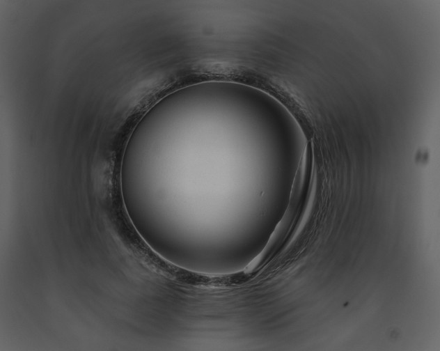 X0000091720739200708241348