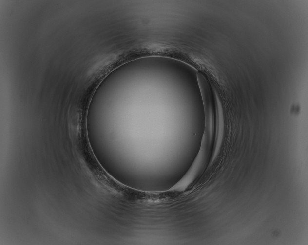 X0000091720740200708241348