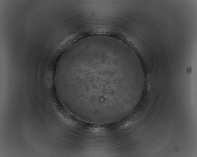 X0000091720741200708241348