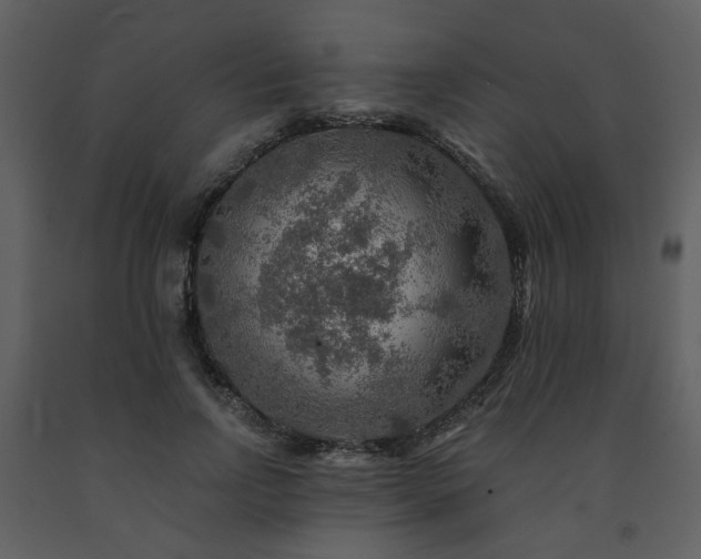 X0000091720742200708241348