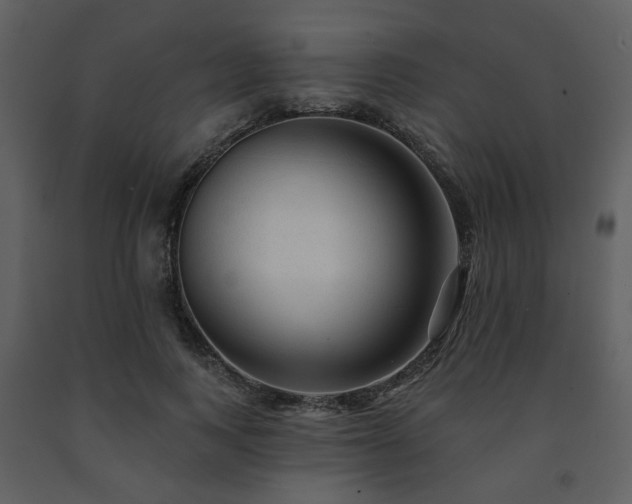 X0000091720743200708241348