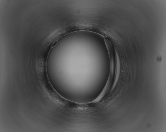 X0000091720744200708241348