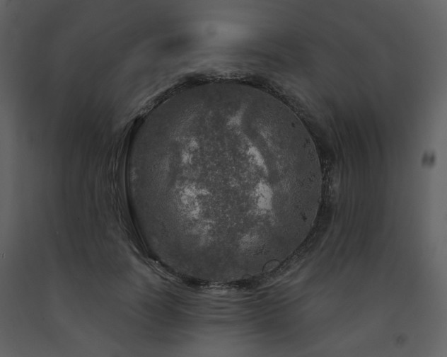 X0000091720746200708241349
