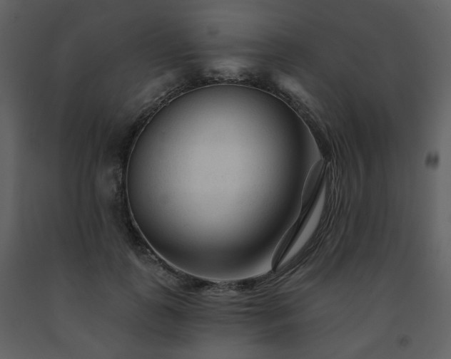 X0000091720747200708241349