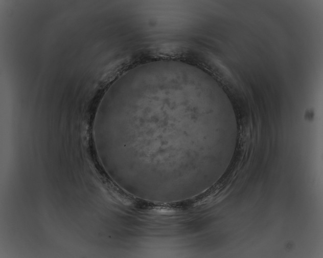 X0000091720749200708241349