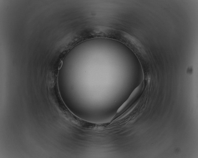 X0000091720751200708241349