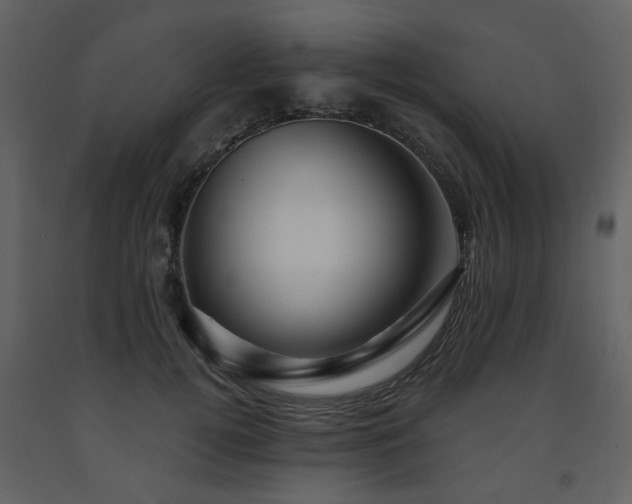 X0000091720752200708241349