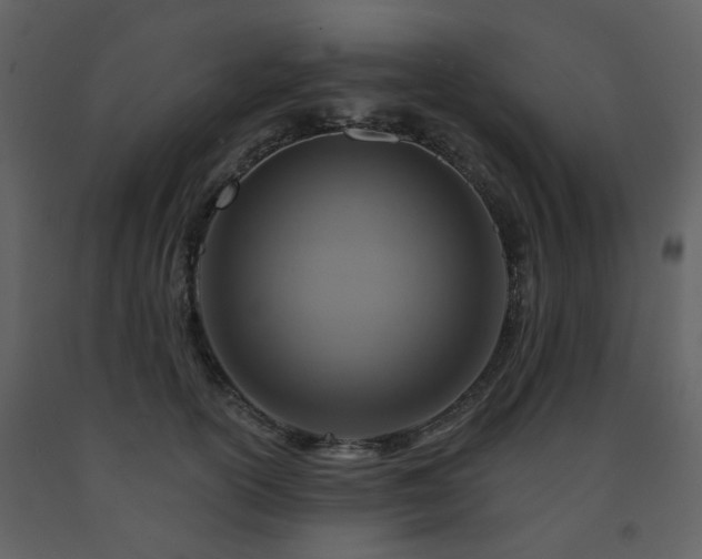 X0000091720754200708241349