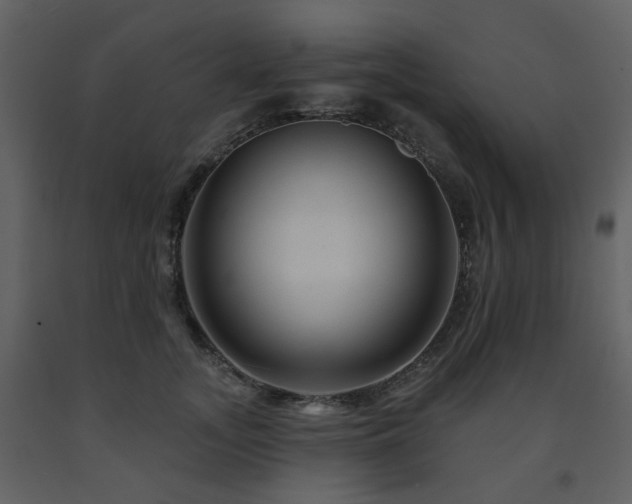 X0000091720755200708241349