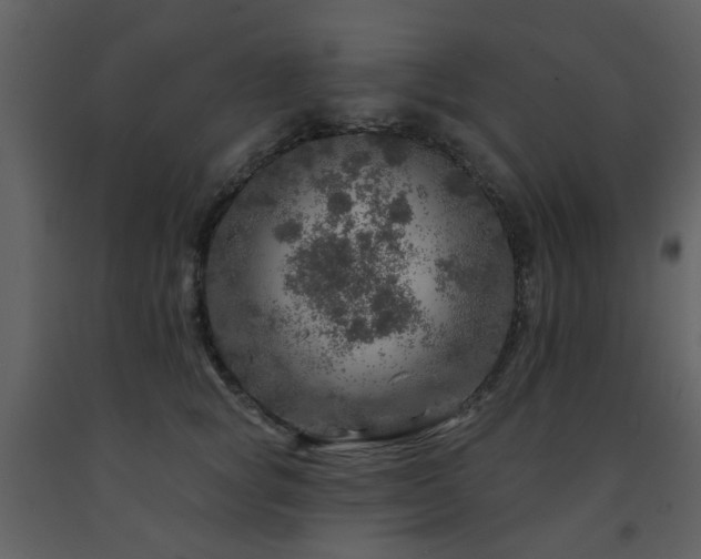 X0000091720757200708241349