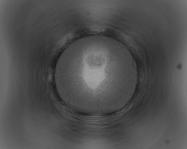 X0000091720758200708241349