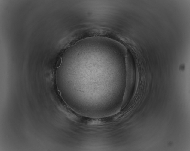 X0000091720759200708241349