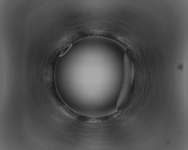 X0000091720760200708241349