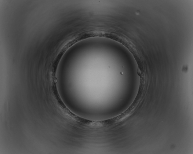 X0000091720762200708241349