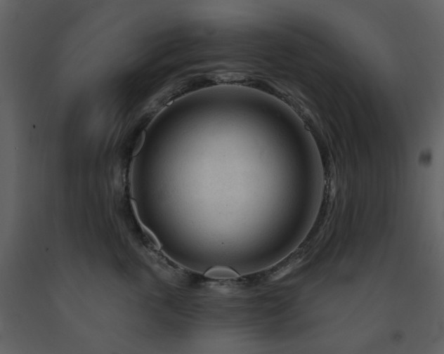 X0000091720763200708241349